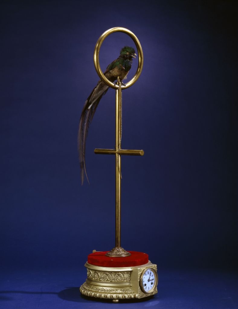 图片[1]-Parrot clock-China Archive